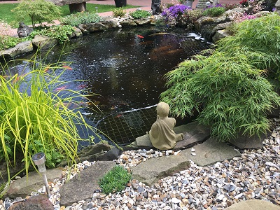 pond with heron deterrent fitted