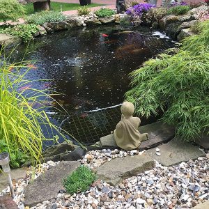 pond fitted with heron deterrent