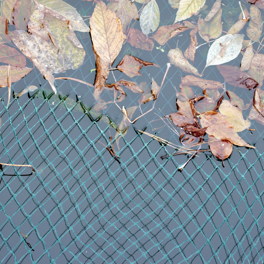 pond netting collecting leaves